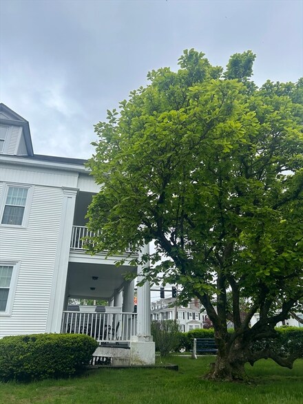 389 S Main St Unit 5, Haverhill, MA 01835