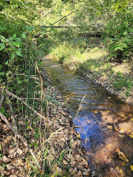 14094 Three Mile Road Lot A, Thomson, IL 61285