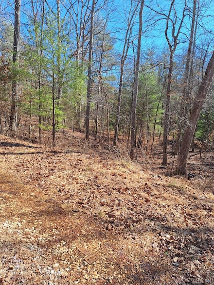 0 Wilderness Creek Rd, Monroe, VA 24574