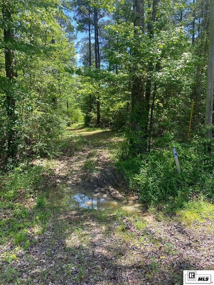 000 Powell St, Marion, LA 71260
