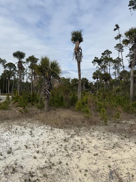 7951 County Road 30a, Port St. Joe, FL 32456