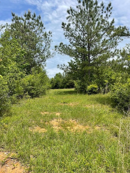 00 Reeves Rd SE, Ruth, MS 39662