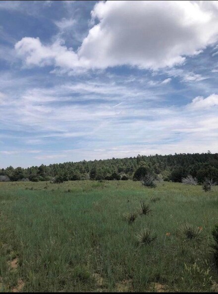 22 Candelaria Rd, Tijeras, NM 87059
