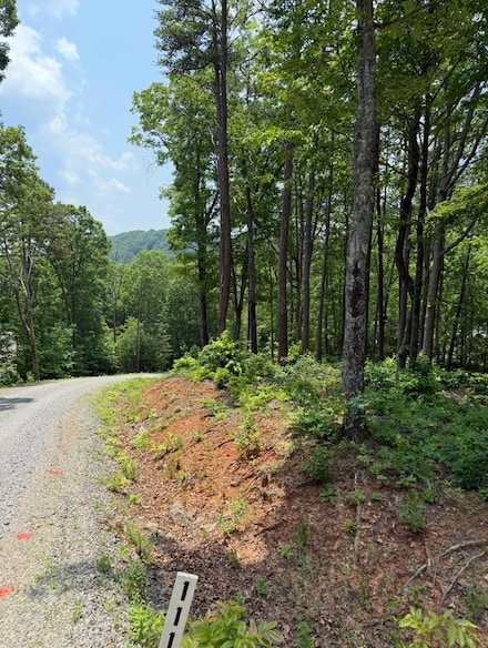 Lot 112 Broad Timber View, Murphy, NC 28906