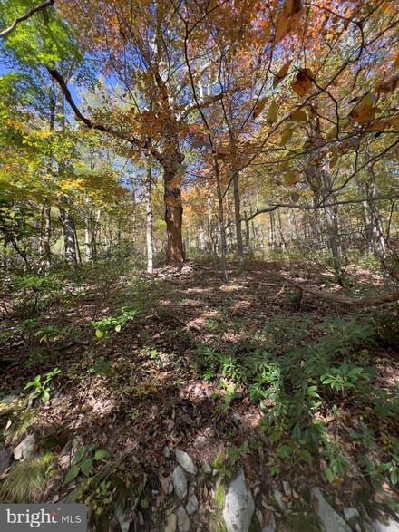 LOT 5A Fox Trail, Winchester, VA 22602
