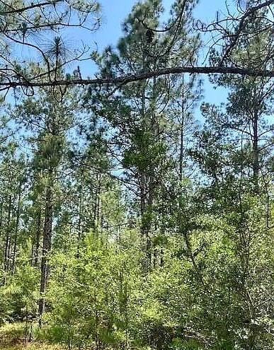 NHN Magee Ln, Lumberton, MS 39455