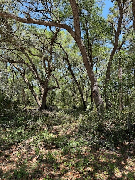 0 SE 11th St, Silver Springs, FL 34488