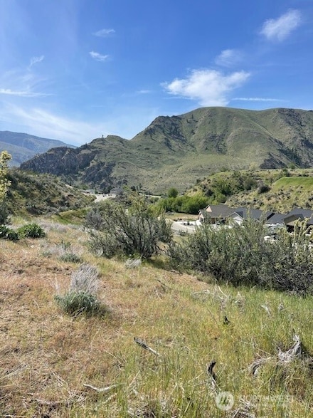 9988 Saska Way, Entiat, WA 98822