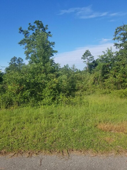 47 Sorin Cir, Elloree, SC 29047