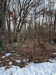 2636 Woodruff Ln, Stroud Township, PA 18360