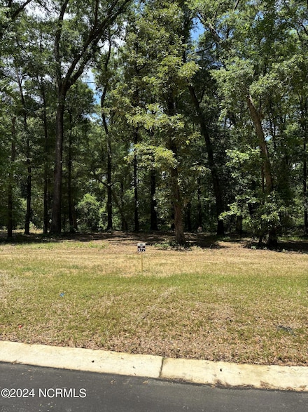 409 Old Forest, Castle Hayne, NC 28429