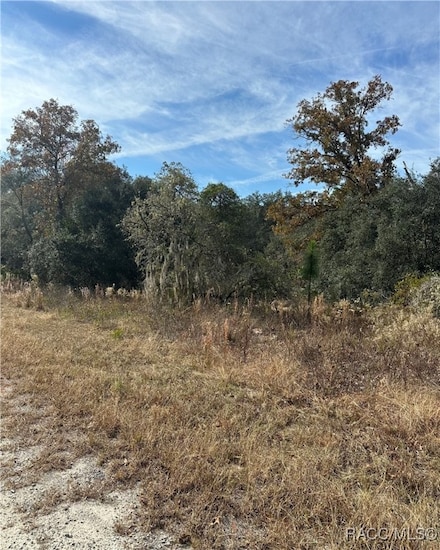 Lot 26 SE 133rd Ave, Rainbow Lakes Estates, FL 34431