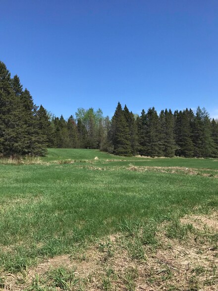 0 E Sand Ridge Rd, Stalwart, MI 49736