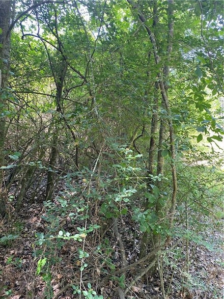 Tbd Par Road 545, Franklinton, LA 70438