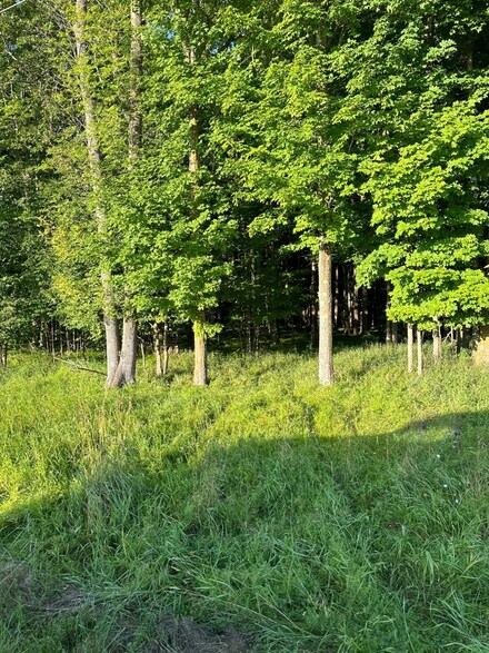 None Condroski Rd, Florence, WI 54121
