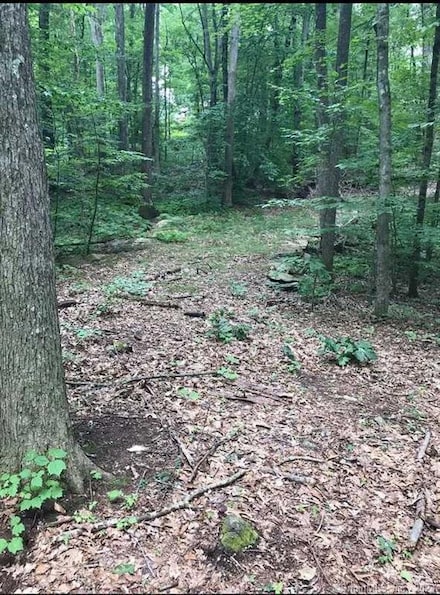 0 Thompson Hill Rd, Portland, CT 06480
