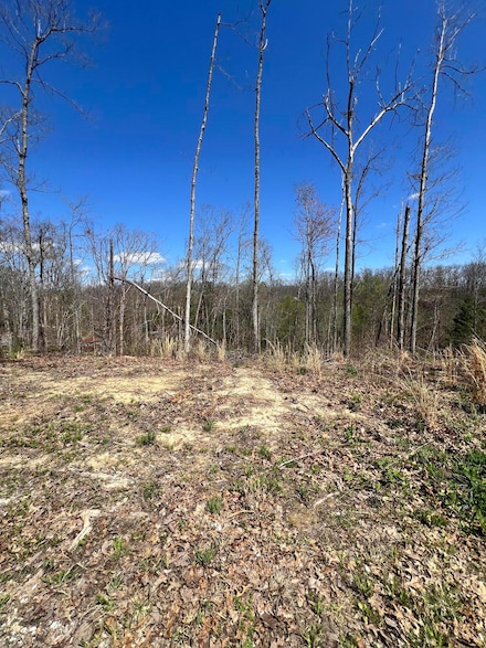 00 Ryan Rd, Wellington, KY 40387
