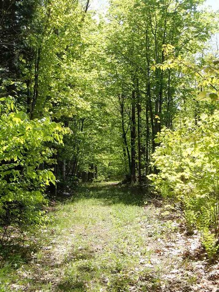 0 March Hill Rd Unit 4695037, Walpole, NH 03608