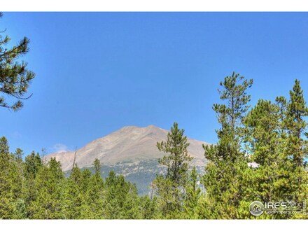 300 S Skinner Rd, Allenspark, CO 80510