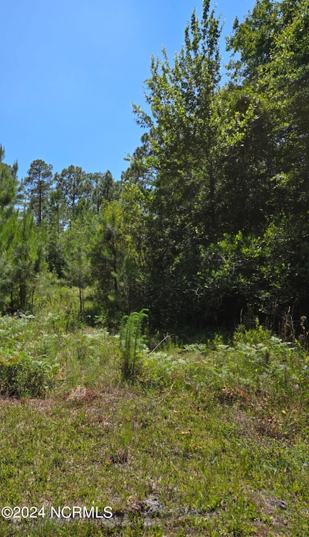 Tr16 Wildwood, Boiling Spring Lakes, NC 28461