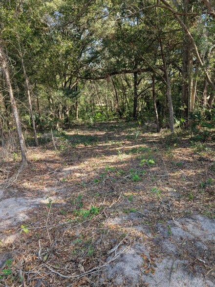 0 SE 176th Place, Weirsdale, FL 32195