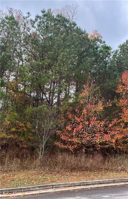 1075 Falkirk Ln, Stone Mountain, GA 30087