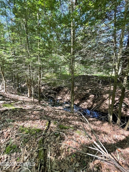 EA LOT 272 Algonquin Dr, Hazle Township, PA 18202
