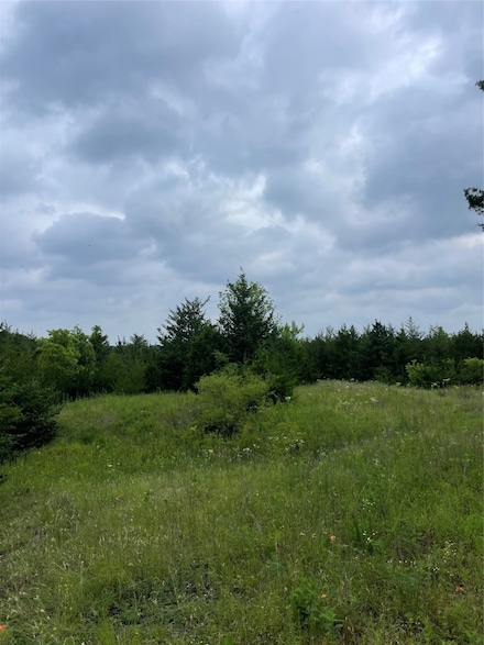 23 County Road 2950, Windom, TX 75438