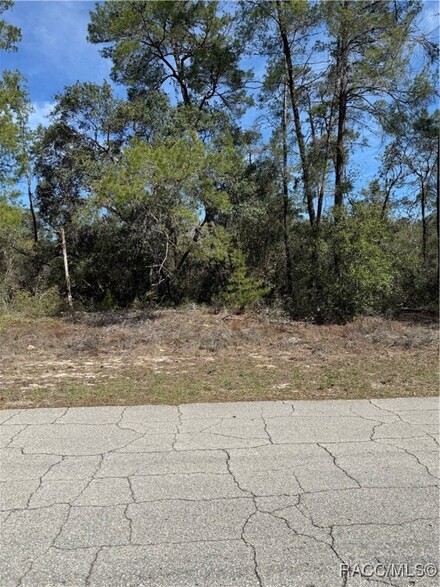 4395 W Alamo, Beverly Hills, FL 34465