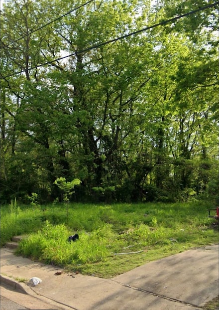 1299 Horace St, Memphis, TN 38106