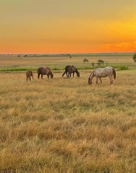 03 E County Rd, Blair, OK 73526