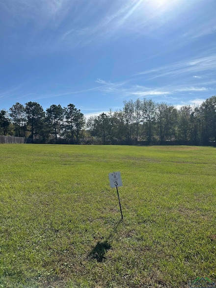 TBD Creekside Dr Unit Lot 3, Marshall, TX 75672