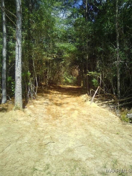 Lot 19 Lakeshore Dr, Tuskegee, AL 36083