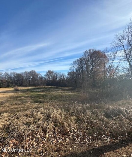 6175 Tucker Ridge Rd, Walls, MS 38680