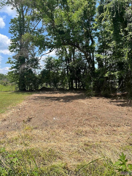 TBD Pennsylvania Ave, New Roads, LA 70760