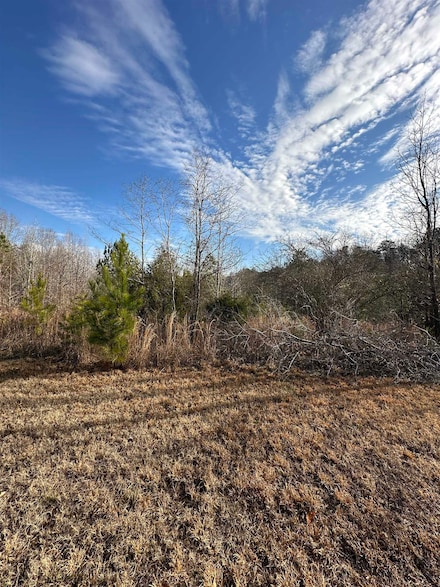 00 Sherrill Dr, Blacksburg, SC 29702