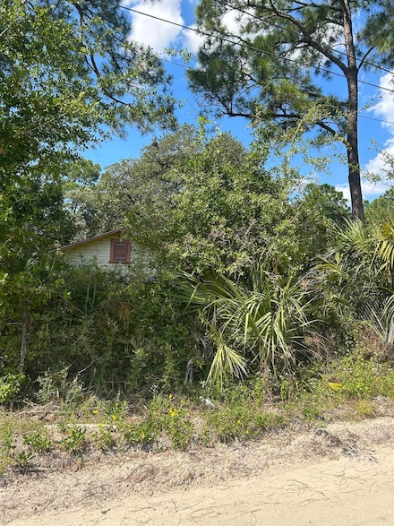 74 Westview St, Panacea, FL 32346