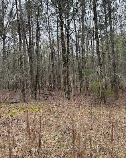 0 Apalachee Woods Trail Unit 68180, Buckhead, GA 30625