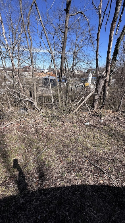 0 Yates St, Paris, TN 38242
