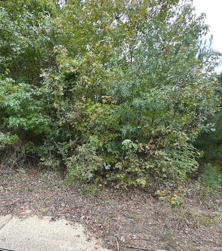 354 Harrison Ave, Camden, AR 71701