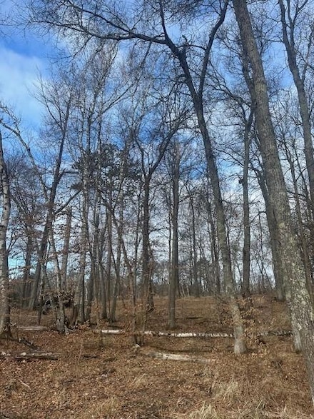 L1B1 Shady Ln, Crosslake, MN 56401
