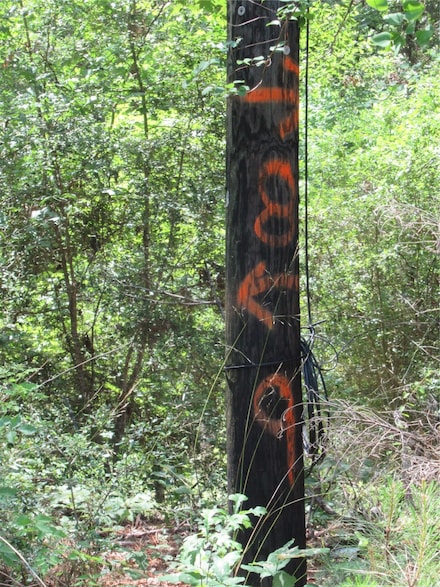 337 Noel, Cedar Point, TX 77351