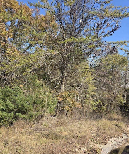 Lot 10 Blue Rd, Tuscumbia, AL 35674