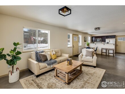 195 E 2nd St, Nederland, CO 80466