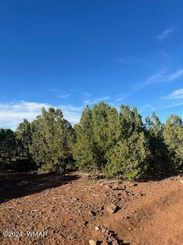 8776 Clark Rd, Show Low, AZ 85901