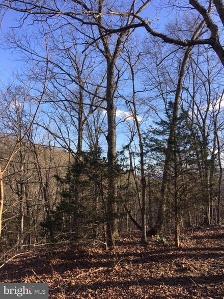 0 Gafia Lodge Rd Unit 1000343272, Middletown, VA 22645