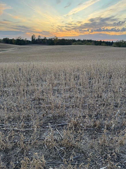 TBD Placid Dr, Dent, MN 56528