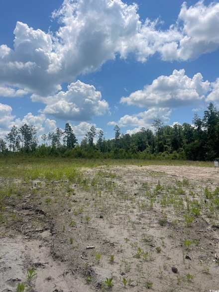 611 Mincey Dr Unit Lot 11 A, Loris, SC 29569