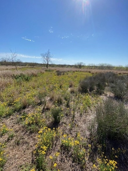 000 Cameron Ln Old Fowlerton Rd, Fowlerton, TX 78021