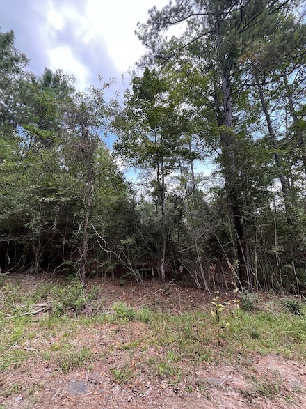 PID #33939 Tupelo Dr, Sam Rayburn, TX 75931